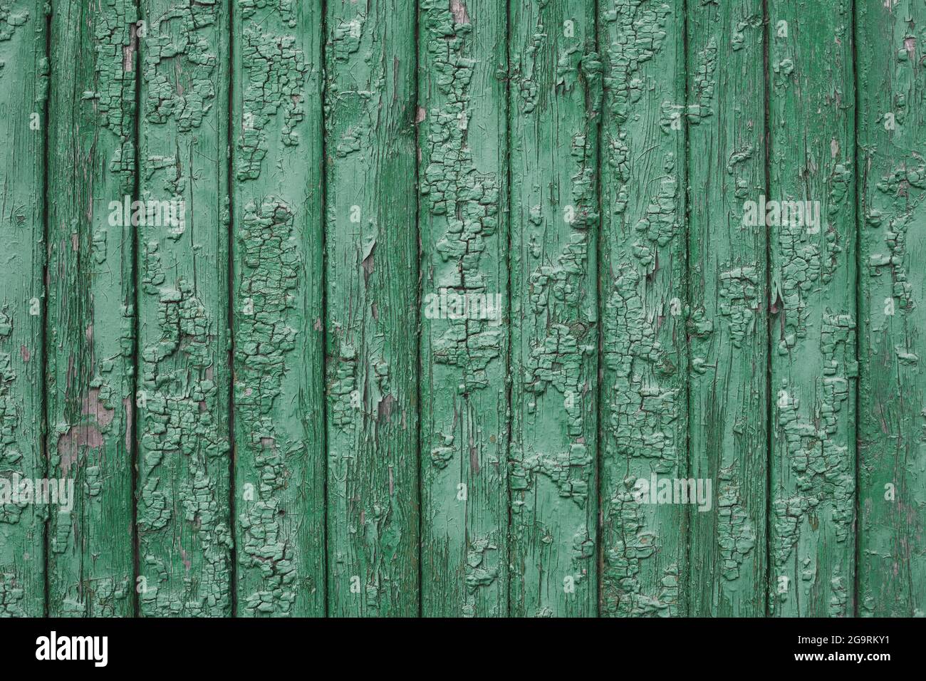 old green fence wood texture Stock Photo