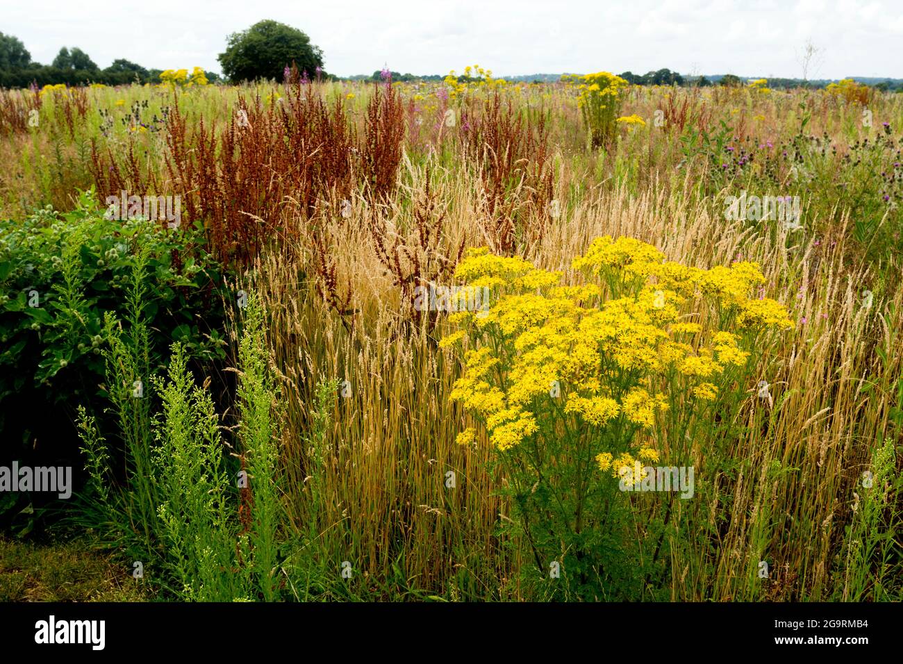 Uncultivated land hires stock photography and images Alamy