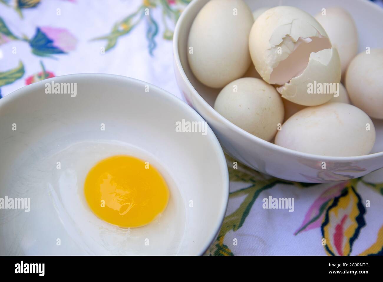 Fresh organic duck and chicken eggs. Stock Photo