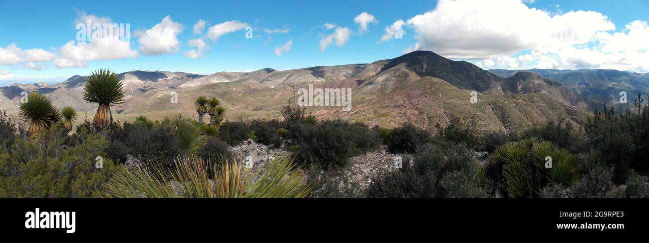 Panoramic view from the summit of Cerro Quemado (Huichol sacred Mountain and lands) in the Central Highlands of Mexico Stock Photo