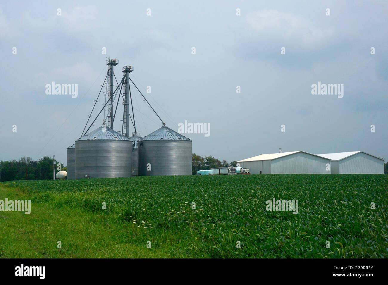 Agricultural buildings next to a filed of soybeans under a cloudy sky Stock Photo