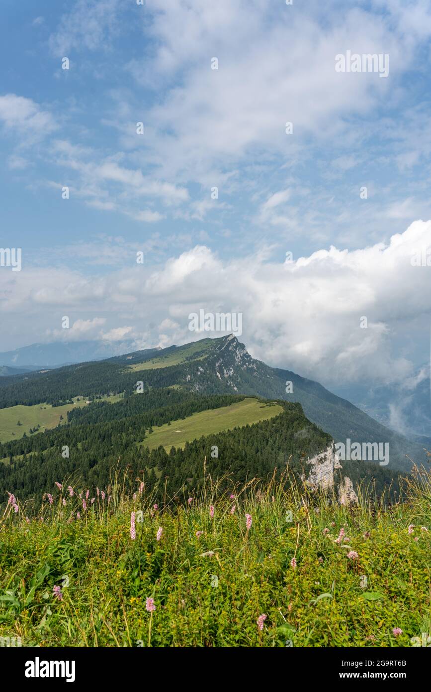 Cima Larici in Altopiano di Asiago a magic mountain place in the earth