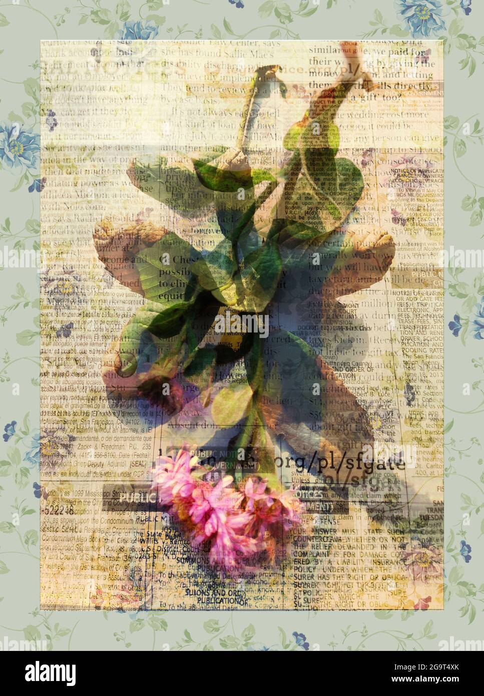 Floral wildflower design hi-res stock photography and images - Alamy