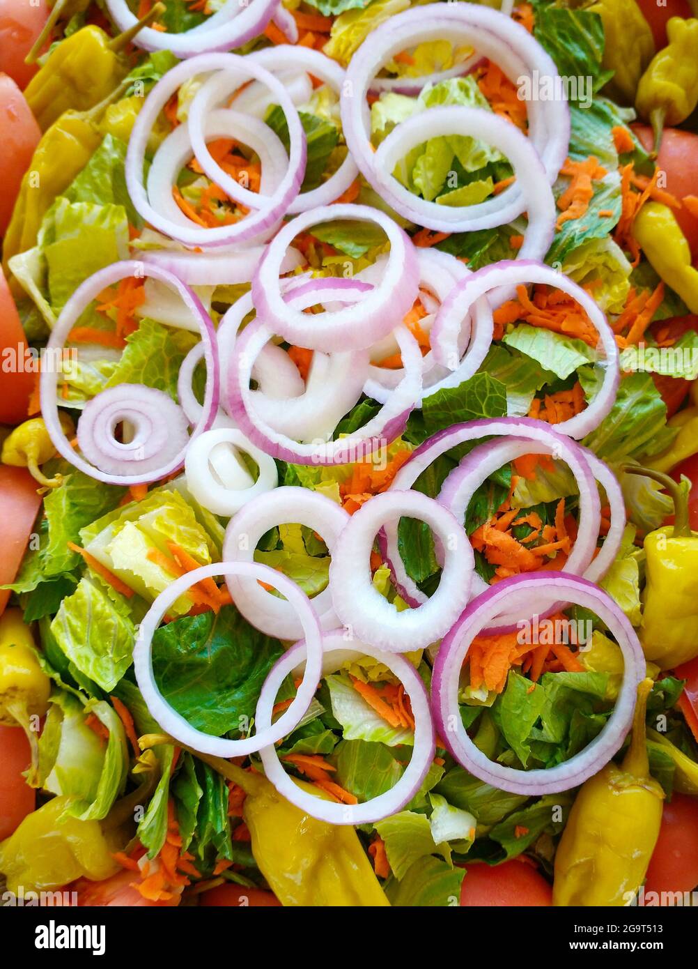 Mixed Sald with Onions Stock Photo