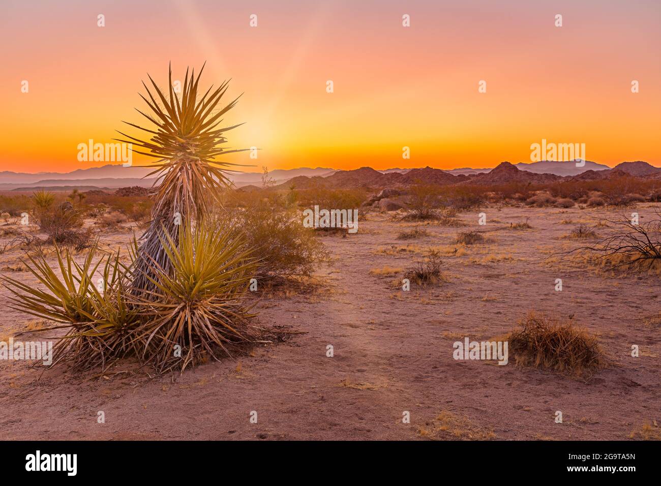 Park summer sun tree hot hi-res stock photography and images - Alamy