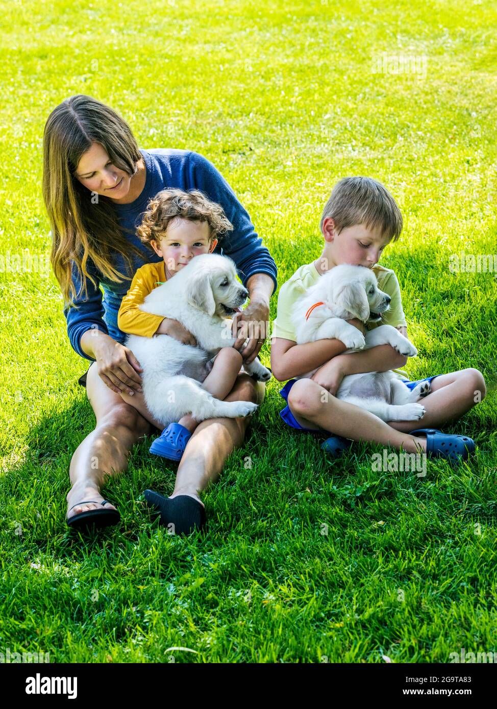Mother and young children playing on grass with six week old Platinum, or Cream colored Golden Retriever puppies. Stock Photo