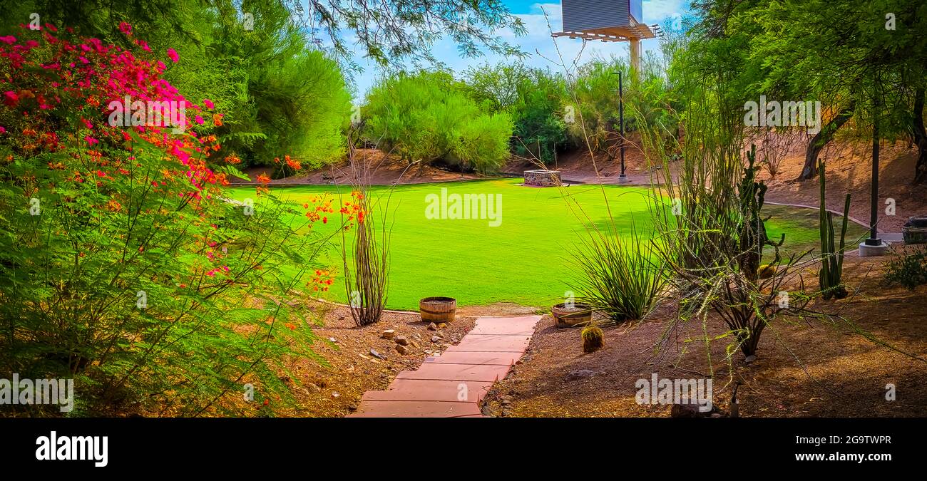 Beautiful botanical garden in Tempe Arizona Stock Photo Alamy
