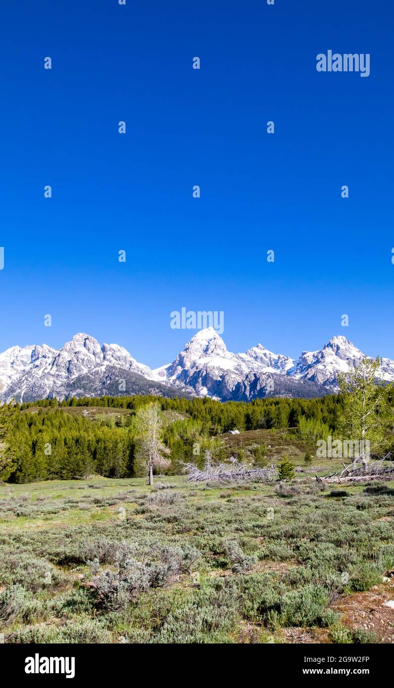 Grand Teton National Park in Wyoming at the end of May, vertical Stock ...