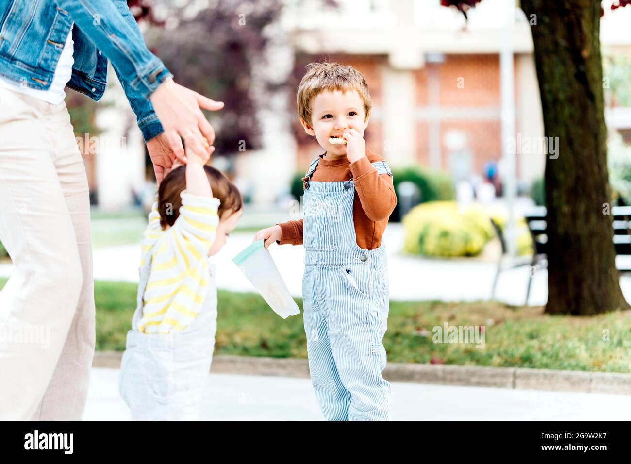 three year old boy eating an afternoon snack in a park with his family