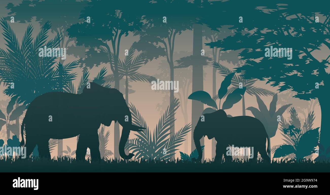 Elephant silhouette at sunset Stock Vector Image & Art - Alamy