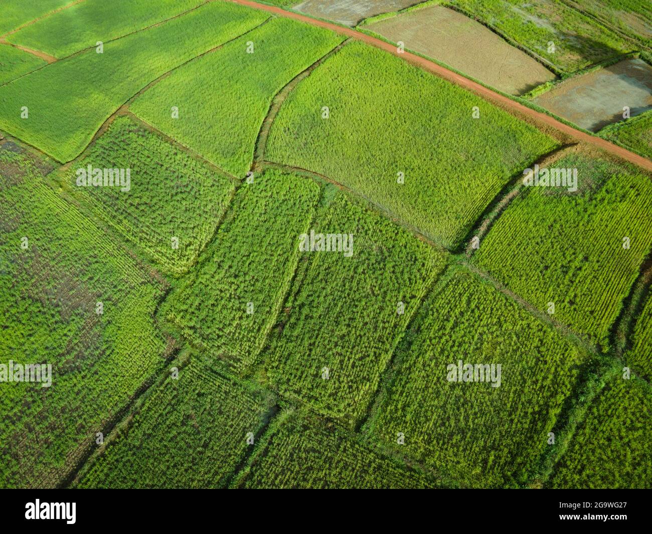 Aerial view field environment forest nature agricultural farm