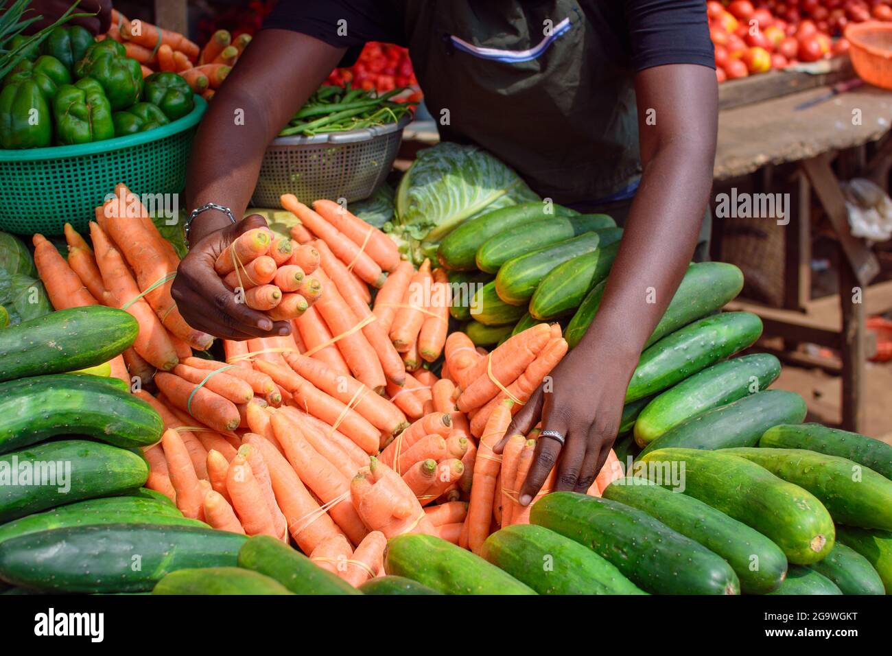 A women sells stockfish at a market in Lagos, Nigeria on Saturday, Sept. 16,  2023. (AP Photo/Sunday Alamba Stock Photo - Alamy