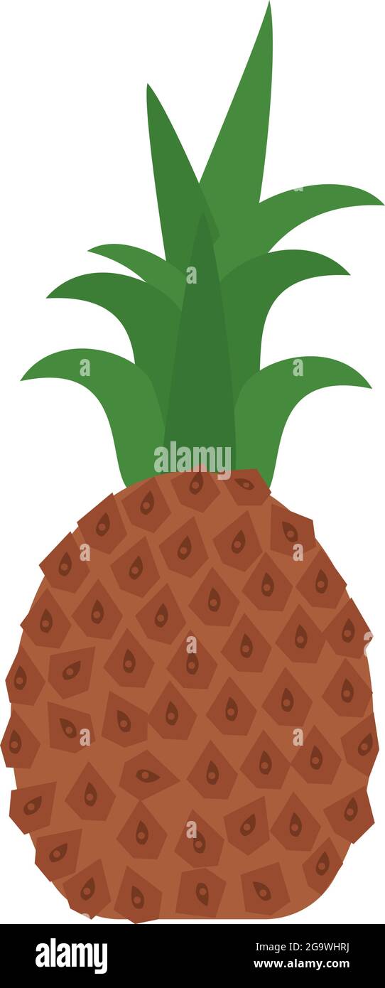 Isolated pineapple fruit Stock Vector Image & Art - Alamy