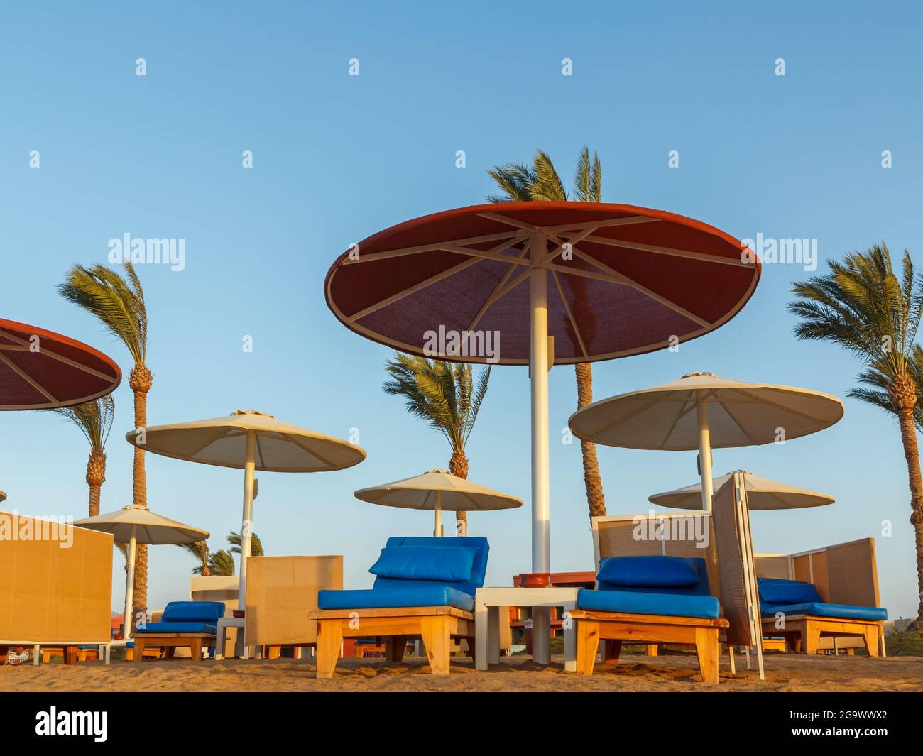 Beach with umbrellas, sunbeds and palm trees on Red Sea in Egypt. Summer time Stock Photo Alamy