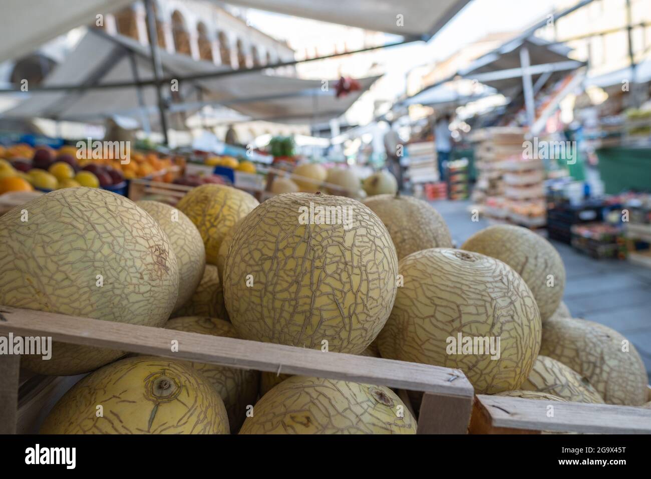 Italian Smooth Skin Melon on street food market in Padua Stock Photo ...