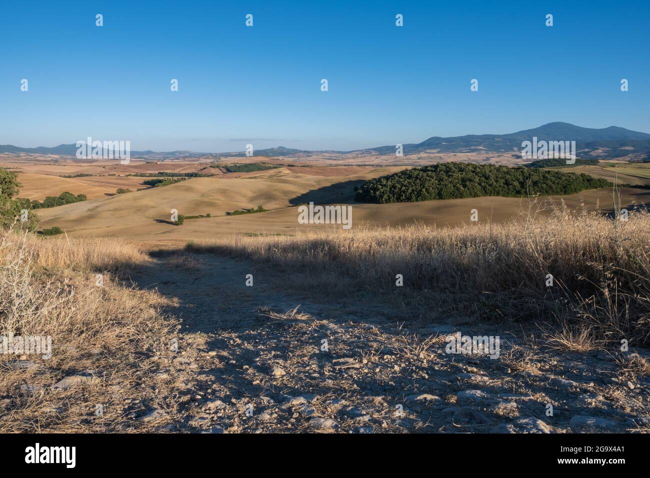 Tuscany rural scenery and grain fields at sunny day Stock Photo