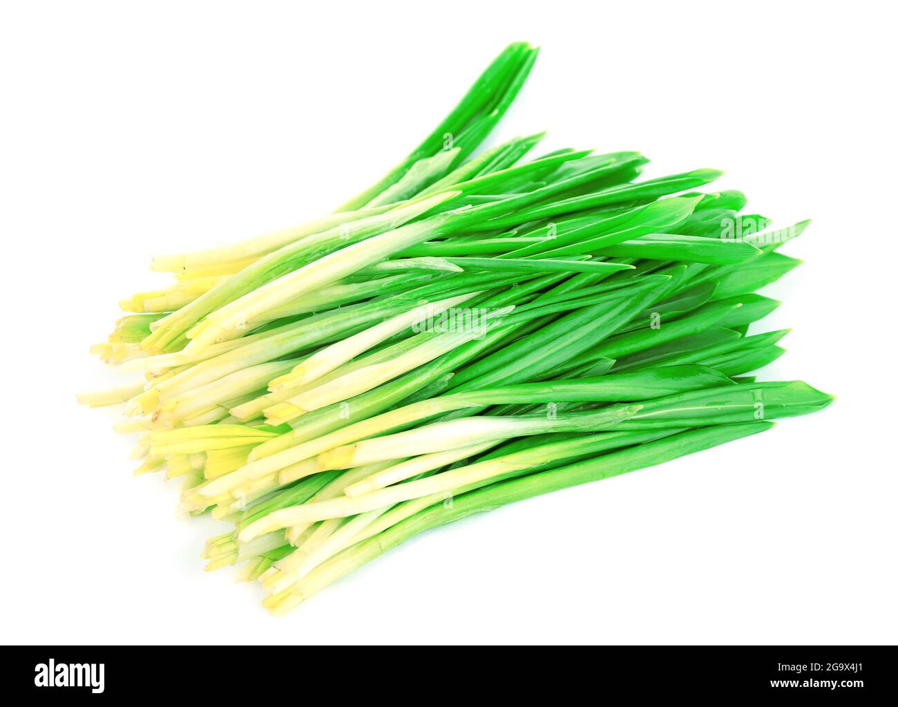 Wild leek isolated on white Stock Photo Alamy