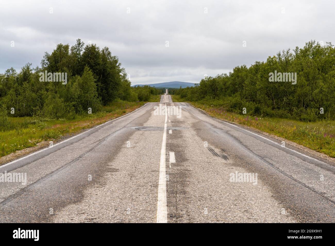 endless gravel road leading trhough forest and tundra wilderness in a straight line to the horizon Stock Photo