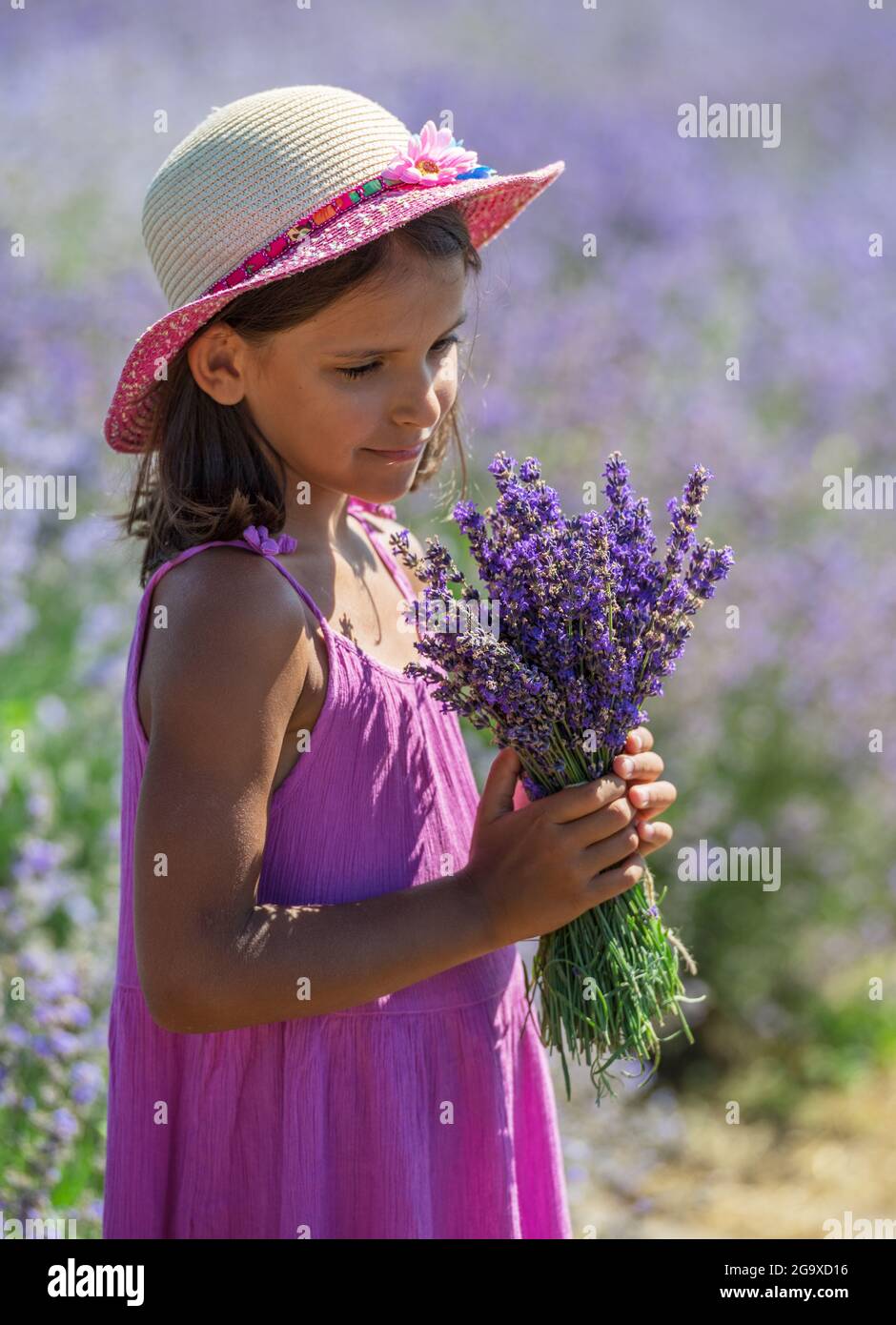 Portrait of little girl with lavender bouquet in her hand in the ...