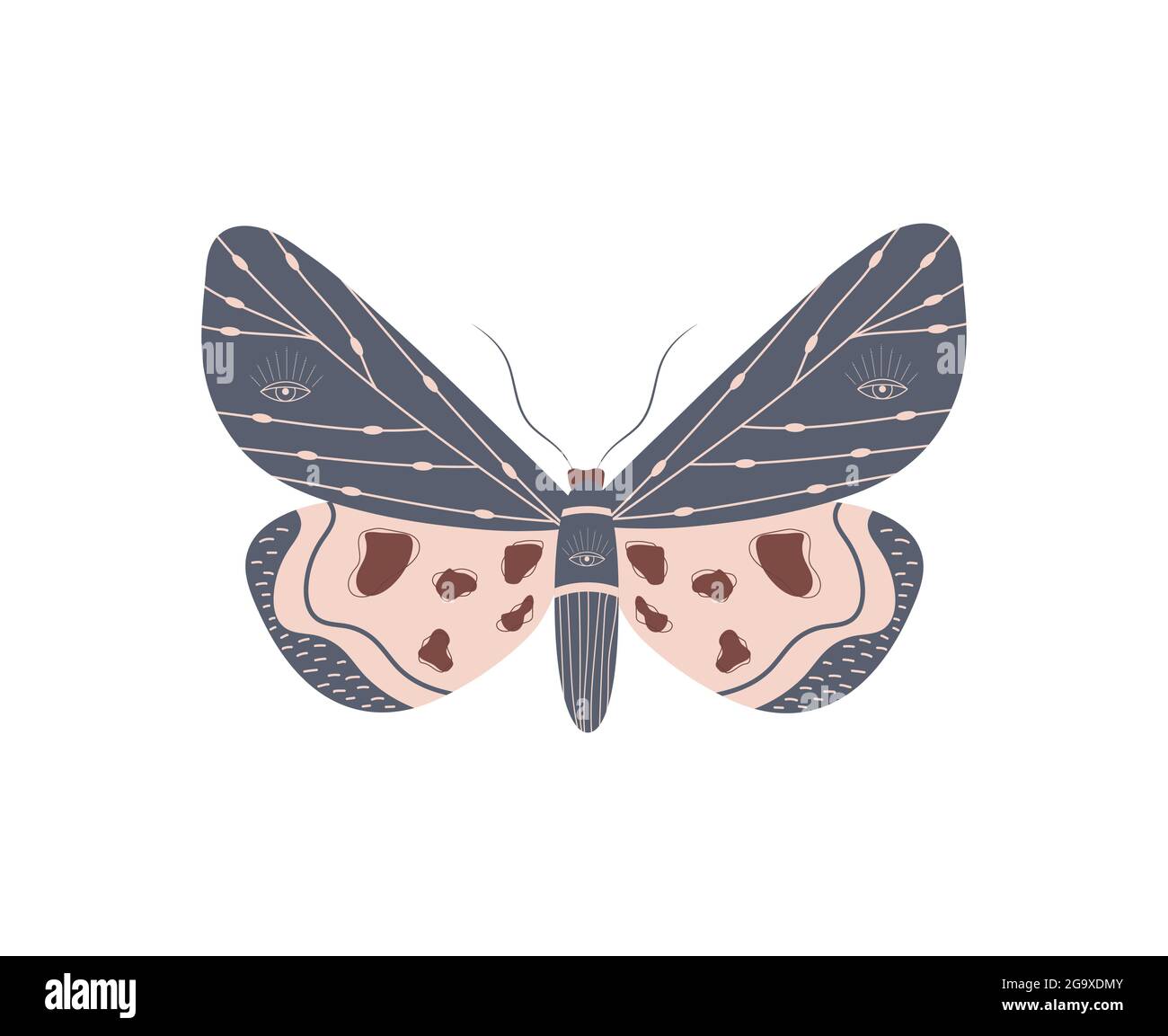 Boho Insects Boho butterfly. Insect with celestial elements. Witch and magic symbol ...
