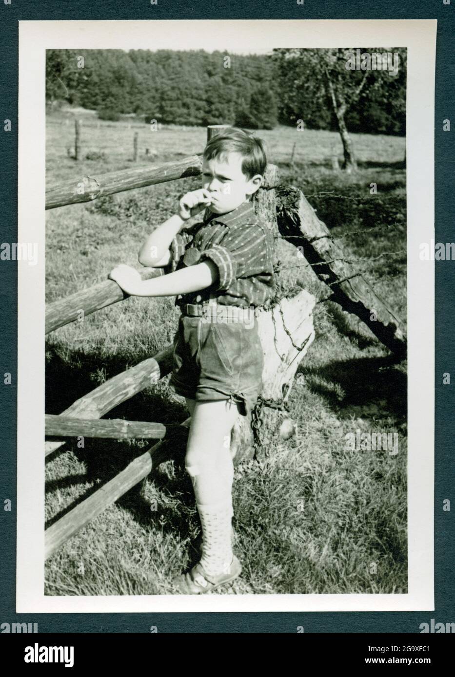boy with leather trousers, he looks skeptical over a gate to another pasture, Hamburg, ADDITIONAL-RIGHTS-CLEARANCE-INFO-NOT-AVAILABLE Stock Photo