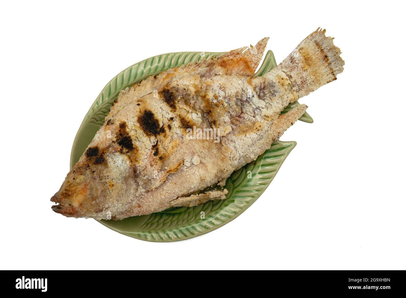 Plate of grilled tilapia fish on a white background with free space for