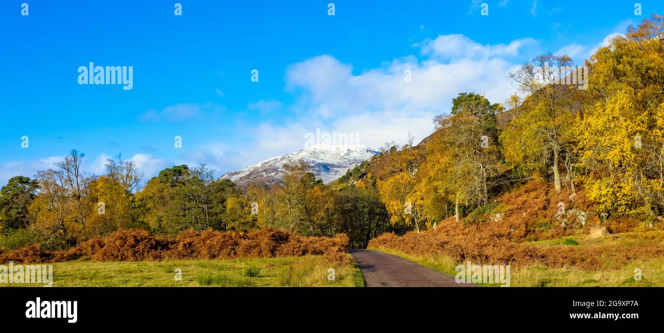 Glen Strathfarrar in Autumn. A panoramic view of the Glen with single track road, blue sky, snow topped munro. golden leaves and bracken.  Scottish Hi Stock Photo