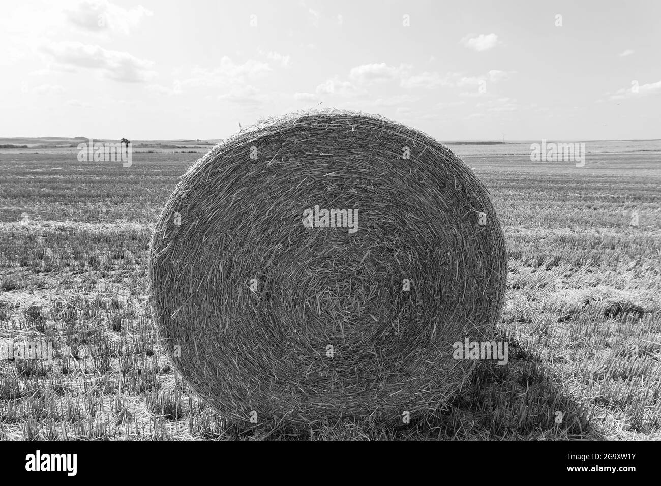 Grain stubble field Black and White Stock Photos & Images - Alamy