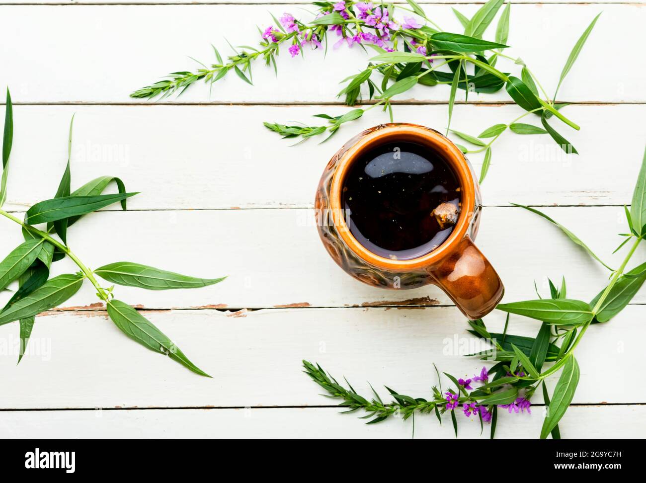 Cup of herbal tea on the table. Ivan tea or fireweed.Ivan tea Stock ...