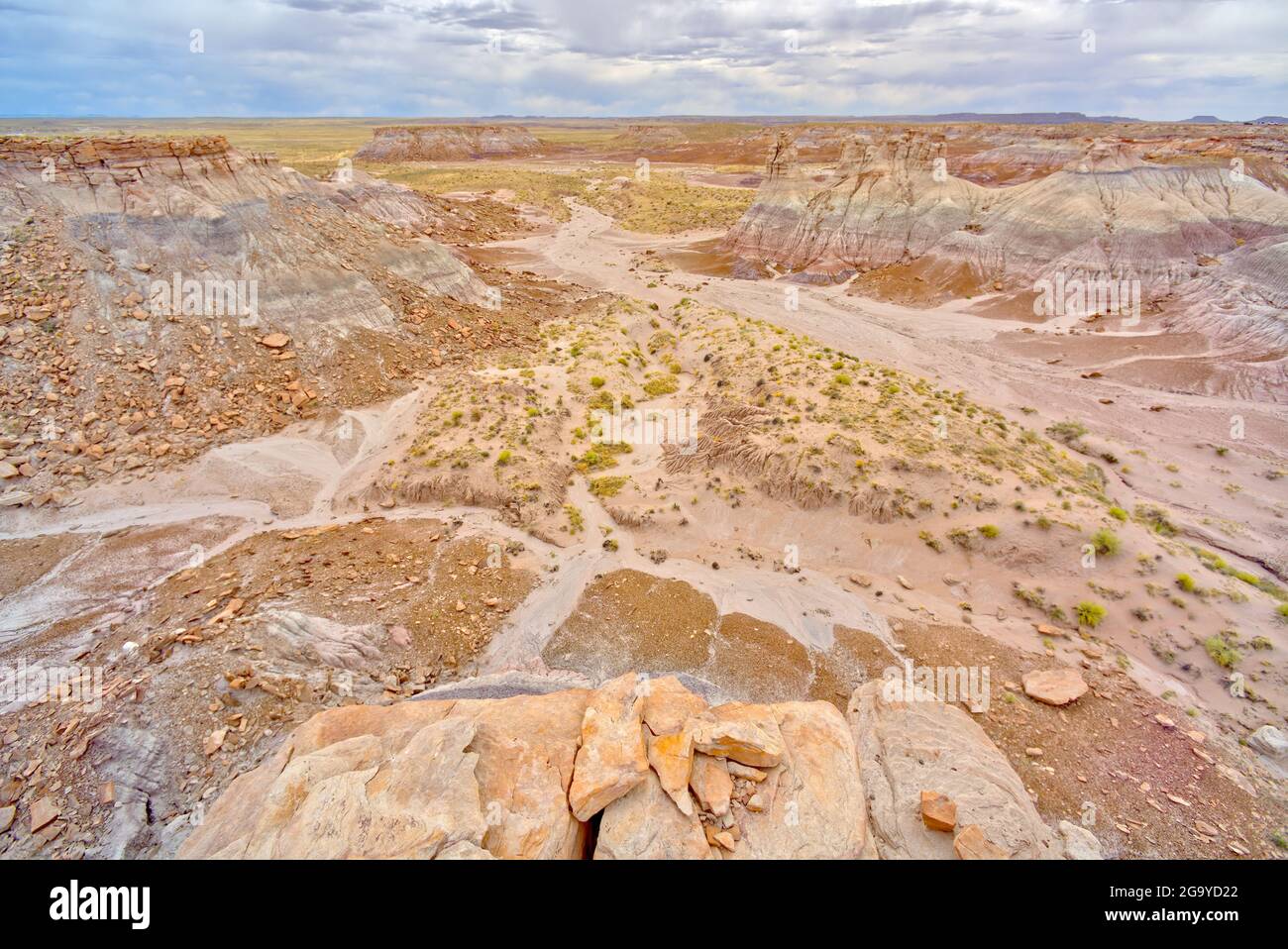 Southwest View from Billings Gap Trail on Blue Mesa, Petrified Forest National Park, Arizona, USA Stock Photo
