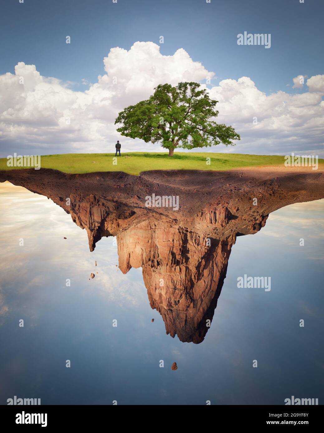 Man standing under a tree on a floating plot of land, USA Stock Photo