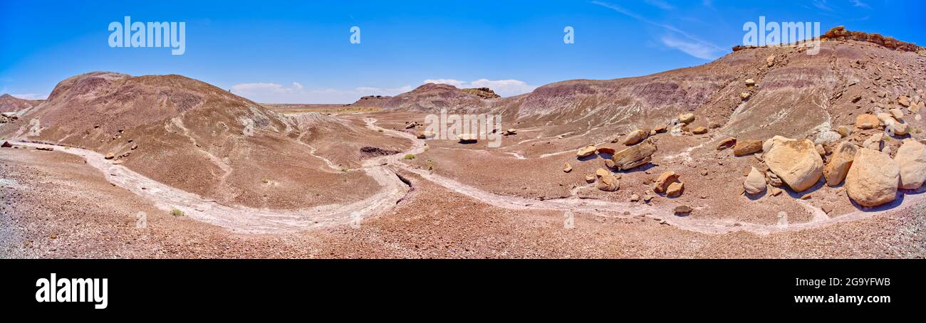 Purple Valley in the Flat Tops, Petrified Forest National Park, Arizona, USA Stock Photo
