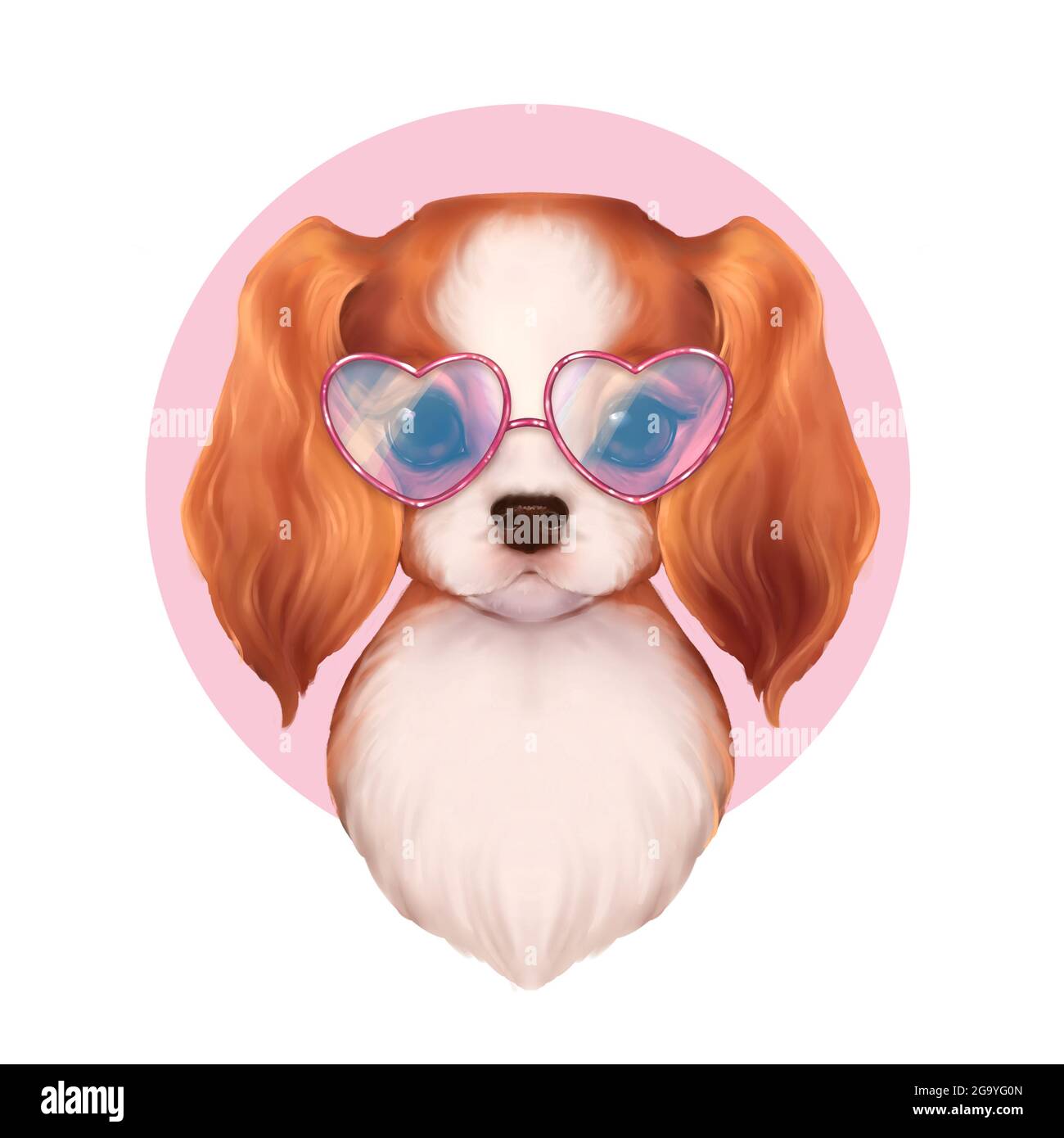 Beautiful illustration of cute spaniel dog in glasses Stock Photo