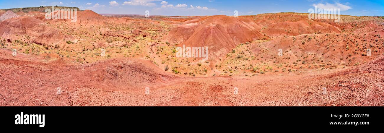 Landscape View from Tiponi Point, Petrified Forest National Park, Arizona, USA Stock Photo