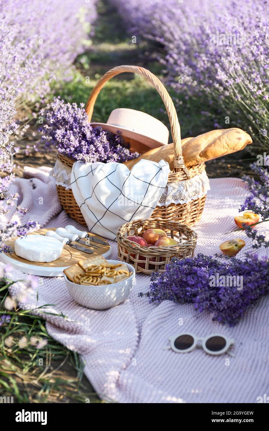 Tasty food for romantic picnic in lavender field Stock Photo Alamy