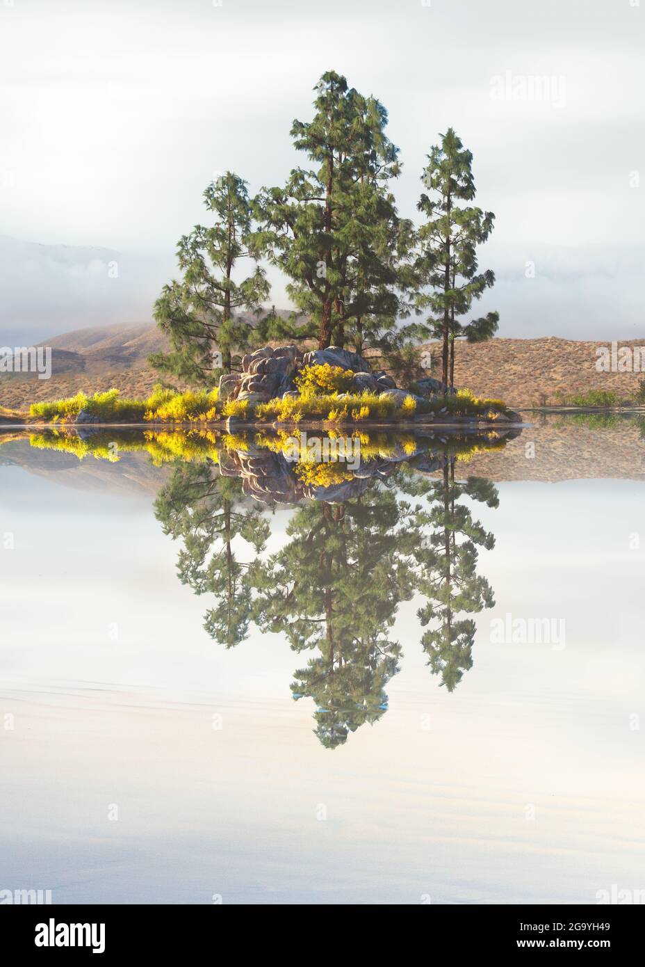 Pine trees on a rocky outcrop in a lake, California, USA Stock Photo