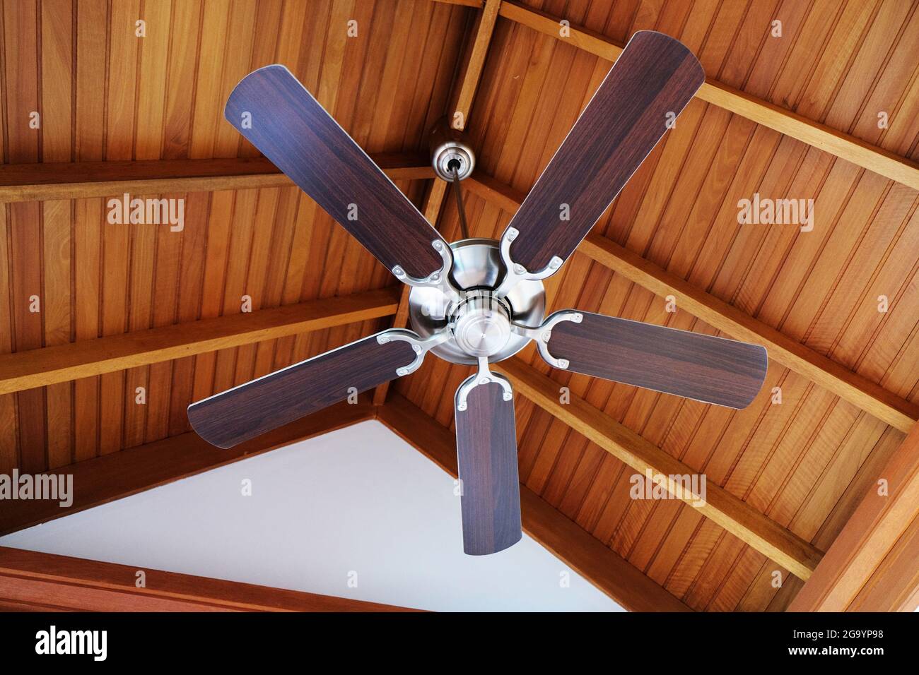 Ceiling fan, indoors Stock Photo Alamy