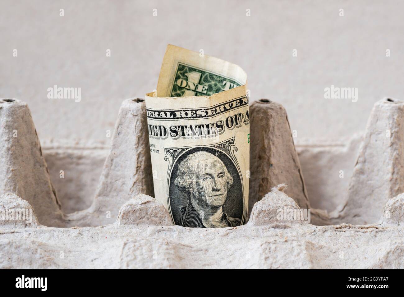 One dollar in an egg cardboard box. Conceptual image. Stock Photo
