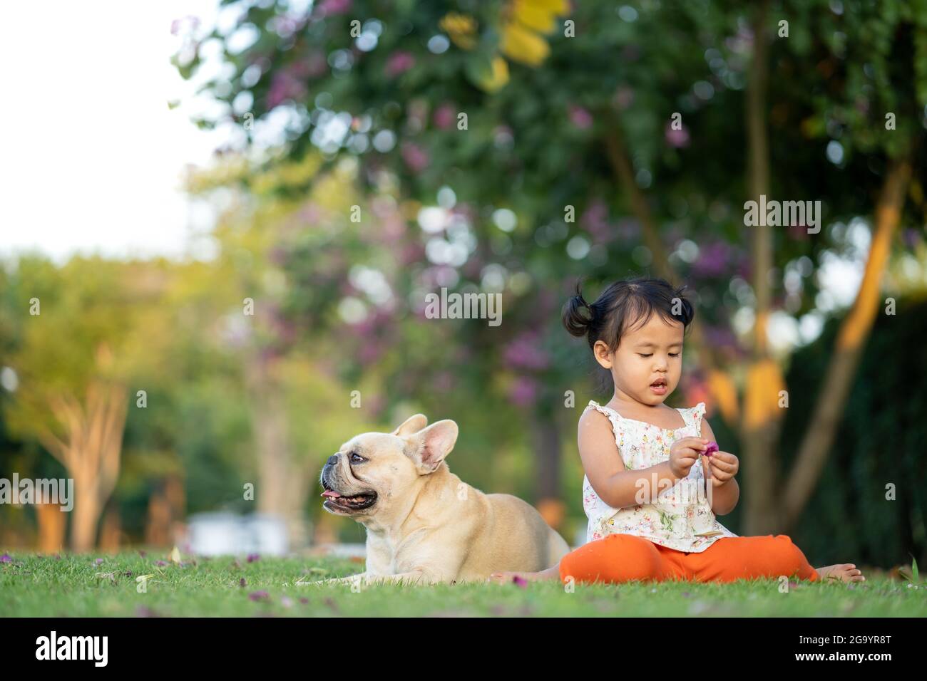 Closeup of a little girl sitting on the grass, with her dog Stock Photo ...