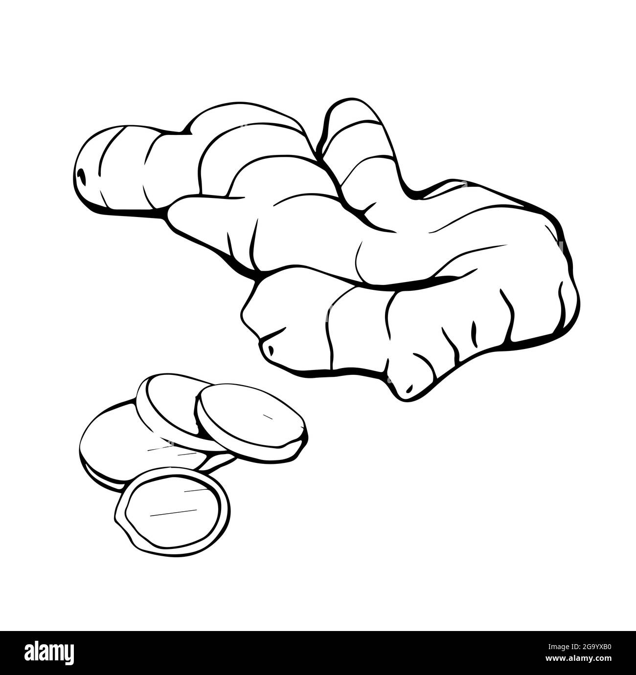 Details more than 84 ginger sketch in.eteachers