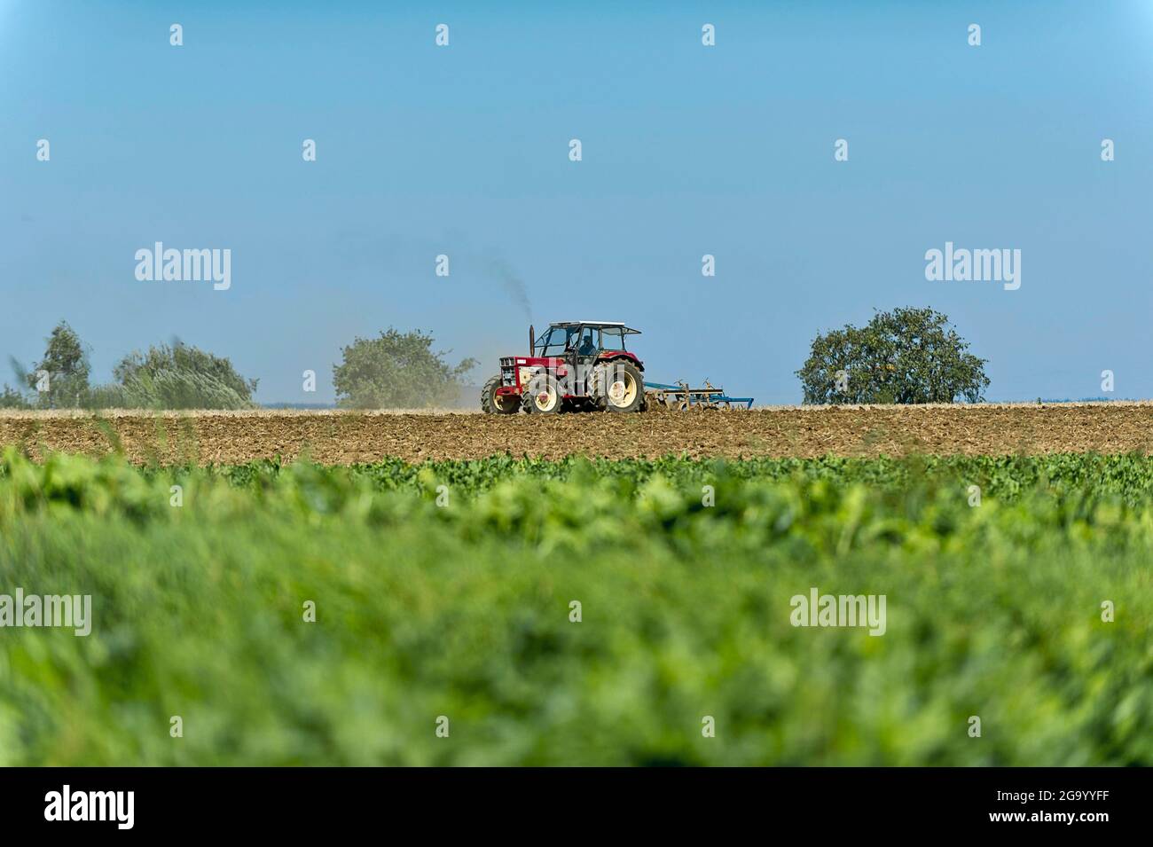 farmer harrowing a field, Germany, BadenWuerttemberg Stock Photo Alamy