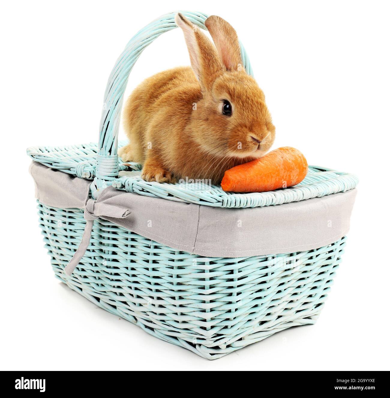 Cute brown rabbit on color wicker basket isolated on white Stock Photo ...