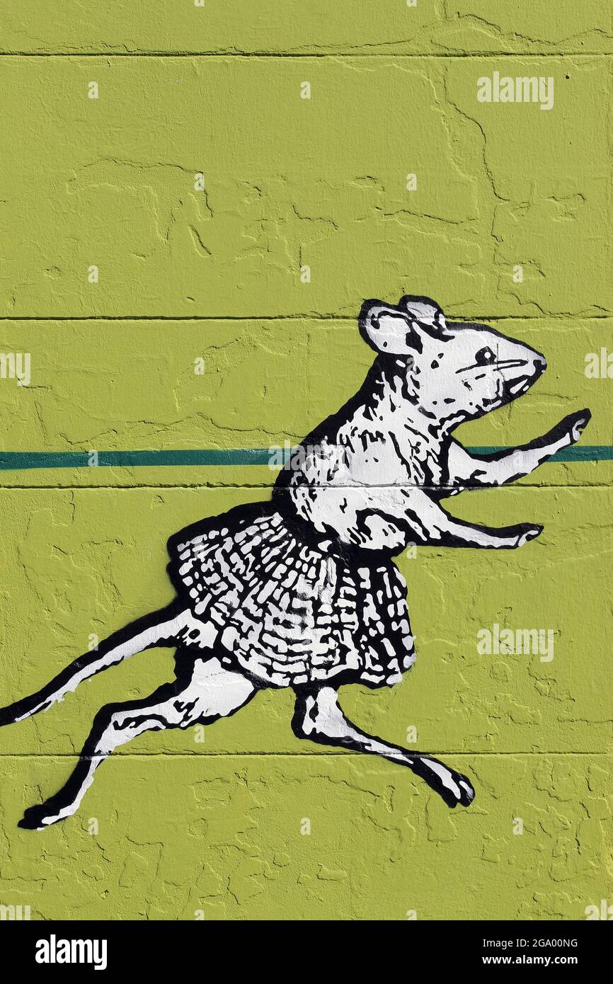 Rat Street Art Stock Photo