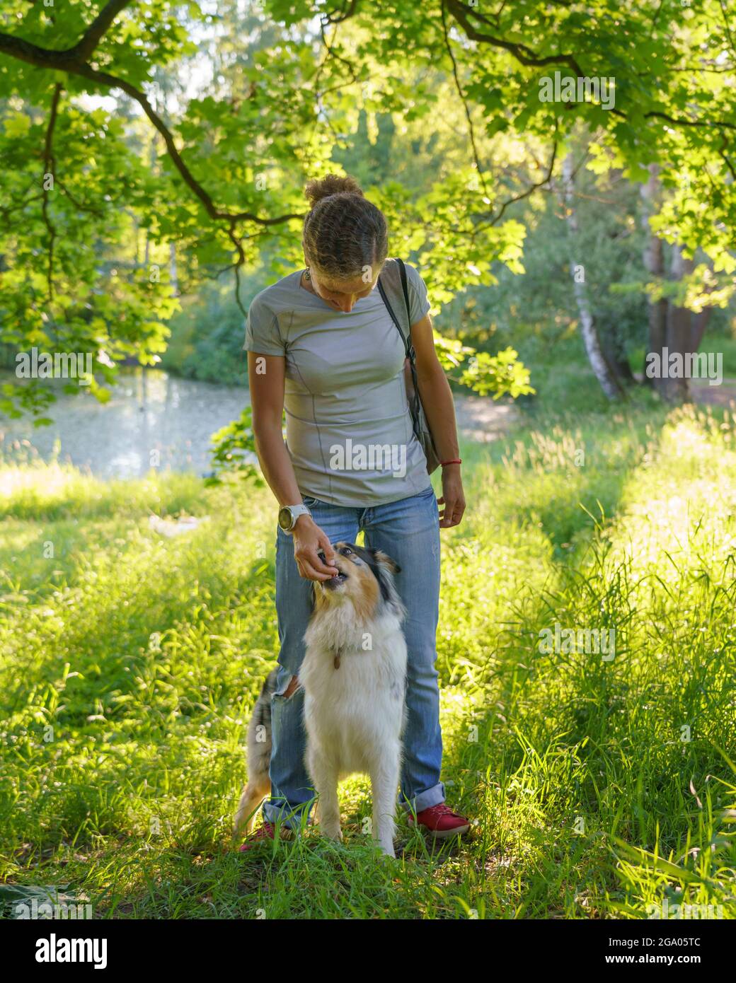 ARE AUSTRALIAN SHEPHERDS CONSIDERED SMART DOGS visual data 6