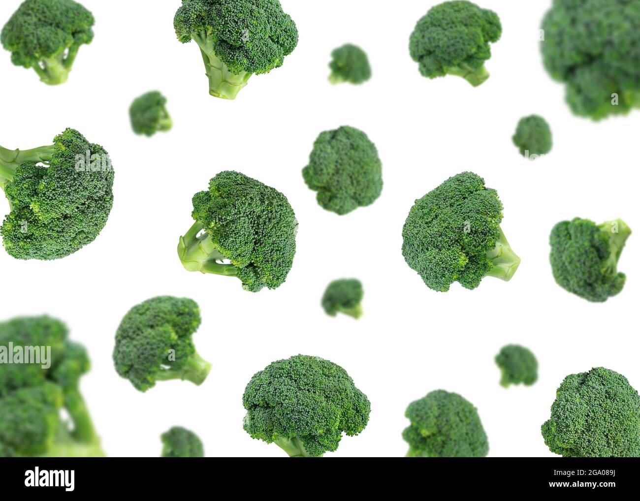 Falling broccoli isolated on a white background. Flying broccoli ...
