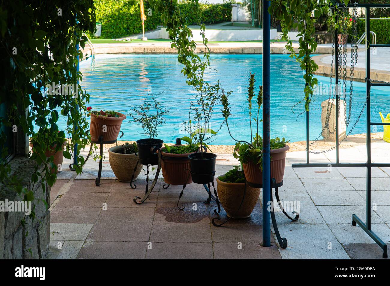 Natural pool tree hi-res stock photography and images - Alamy