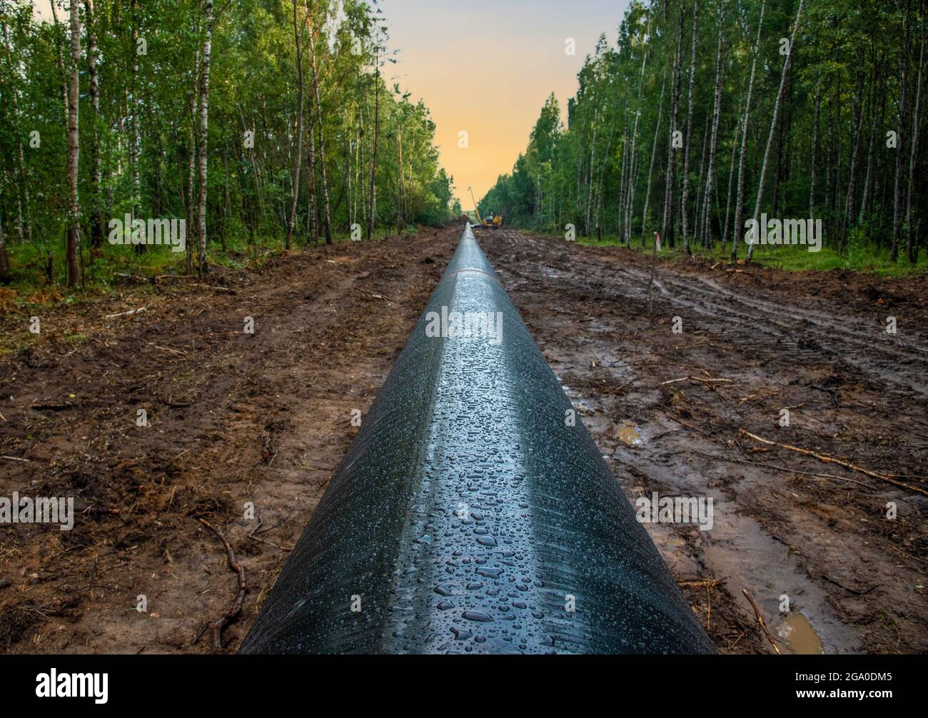 Crude oil and Natural gas pipeline construction work in forest area ...