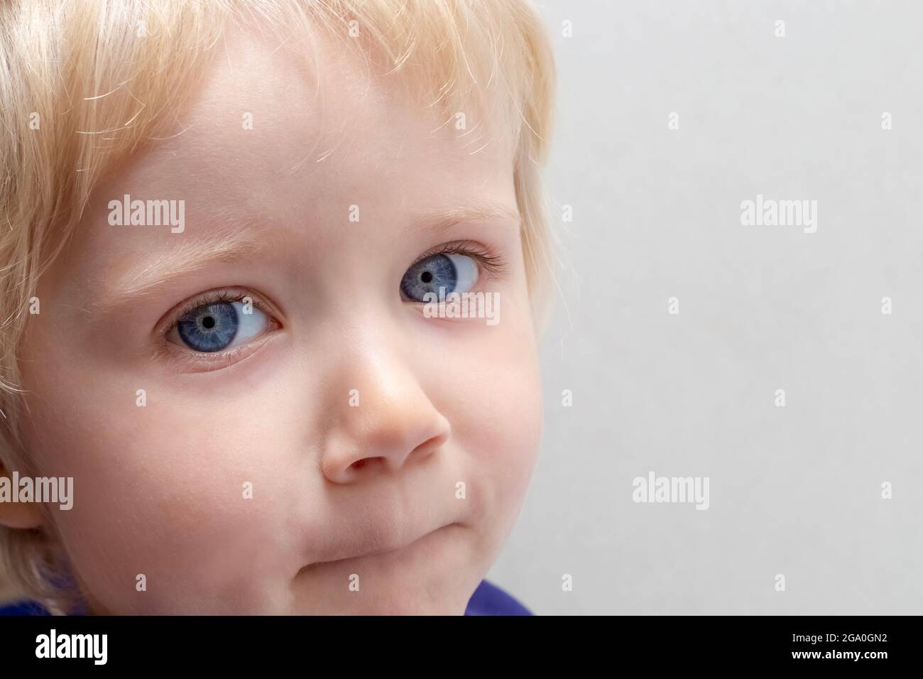 Portrait of a small child with blond hair, blue eyes, light skin on a gray background. Copy space to the right. Stock Photo