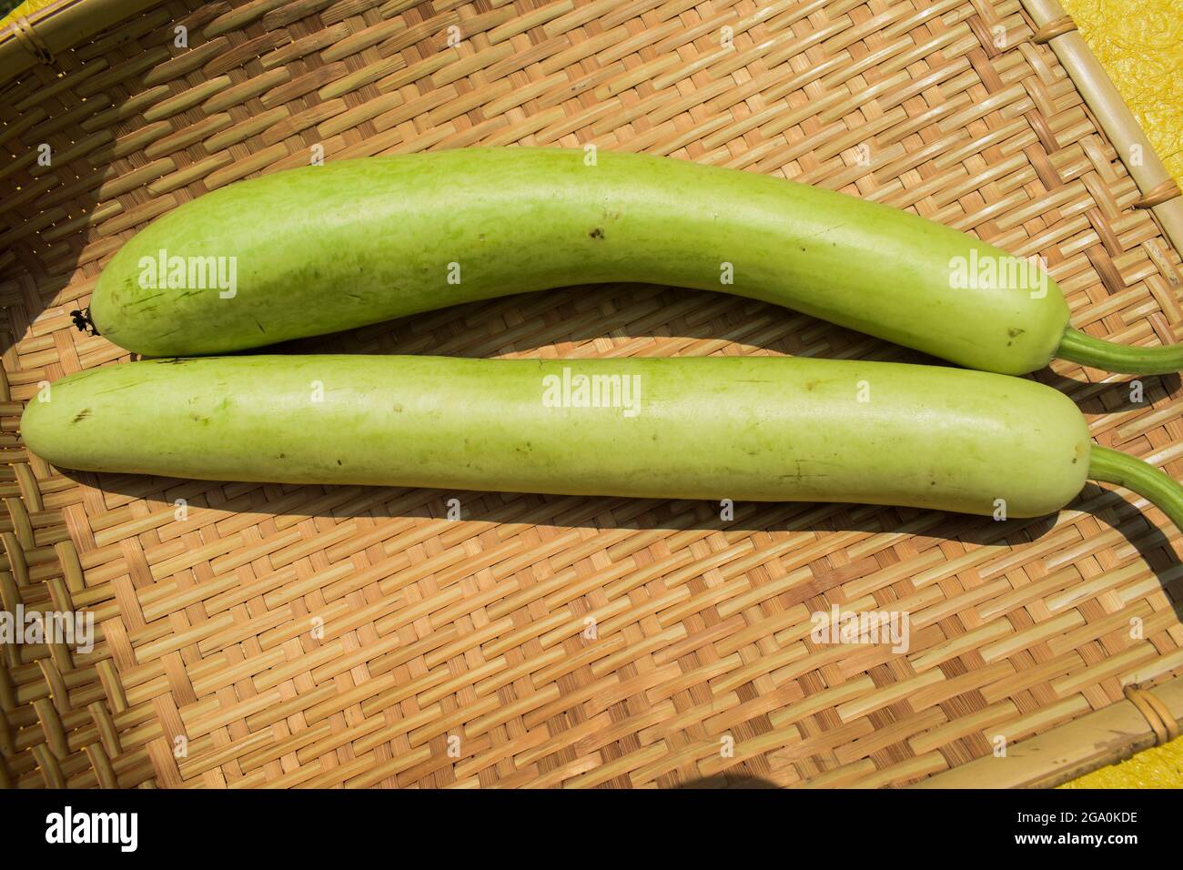 Bottlegourds or white-flower gourd also known as calabash are long and thin melons. indian asian vegetables in bamboo wicker basket background Stock Photo