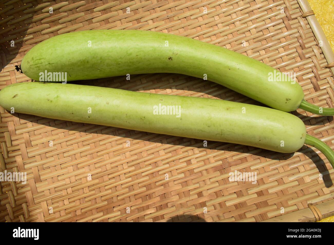 Bottlegourds or white-flower gourd also known as calabash are long and thin melons. indian asian vegetables in bamboo wicker basket background Stock Photo